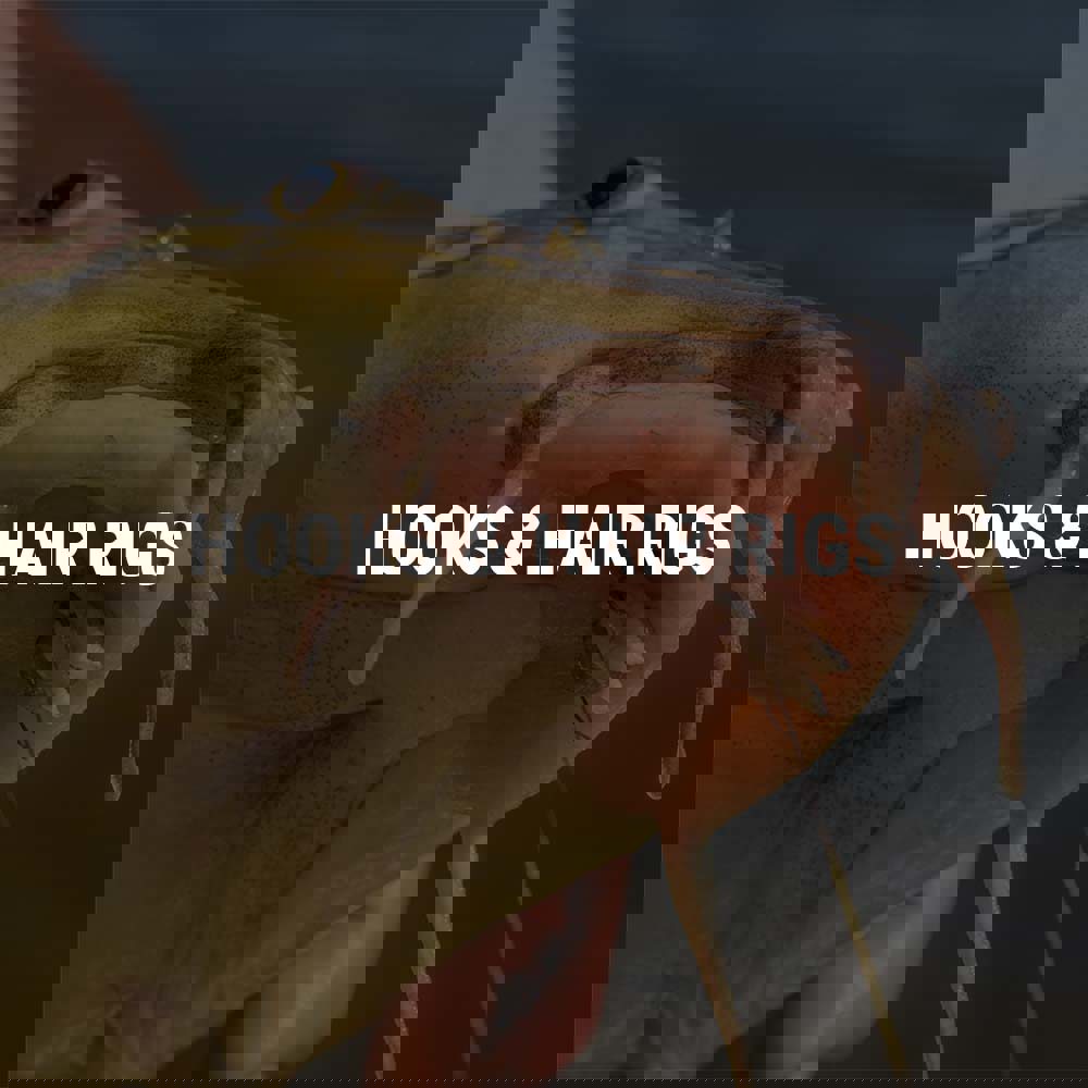 A Barbel with bait in its mouth